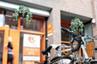 EC English Language Schools: London 